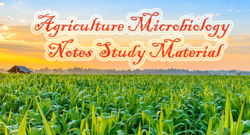 BSc Agricultural Microbiology Notes Study Material